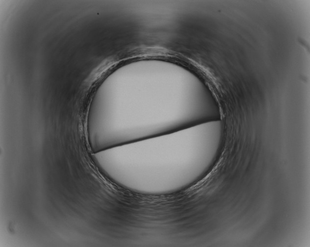 X0000097501407200802220831