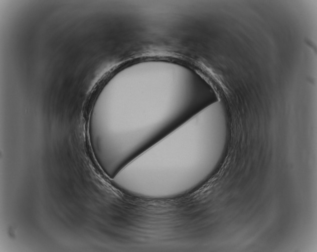 X0000097501408200802220831