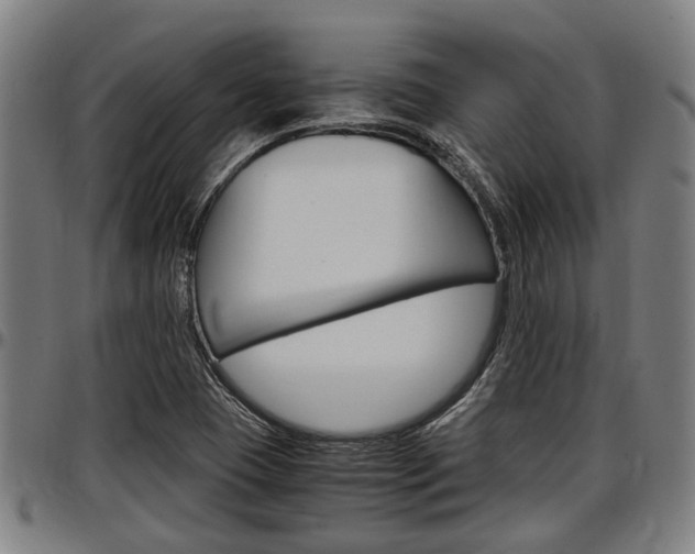 X0000097501409200802220831