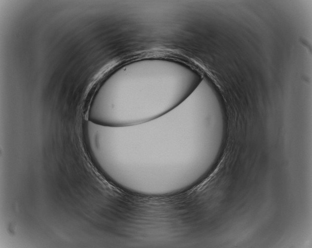 X0000097501410200802220831