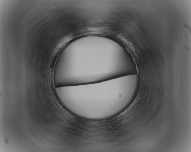 X0000097501411200802220831