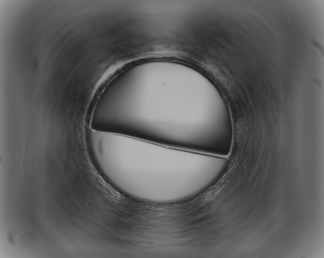 X0000097501412200802220831