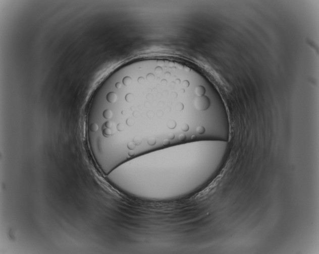 X0000097501413200802220831