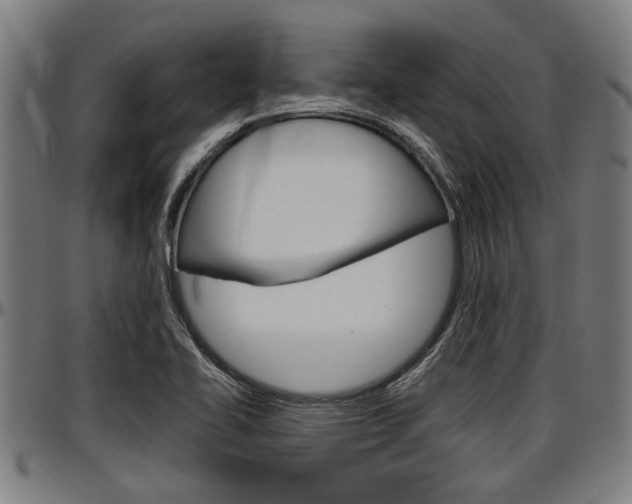 X0000097501414200802220831