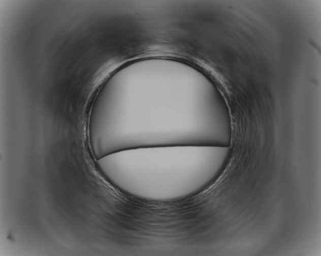 X0000097501415200802220831