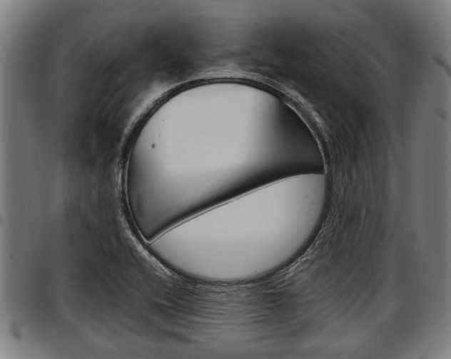 X0000097501416200802220831