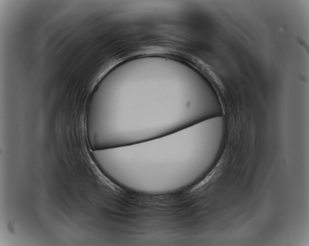 X0000097501417200802220831