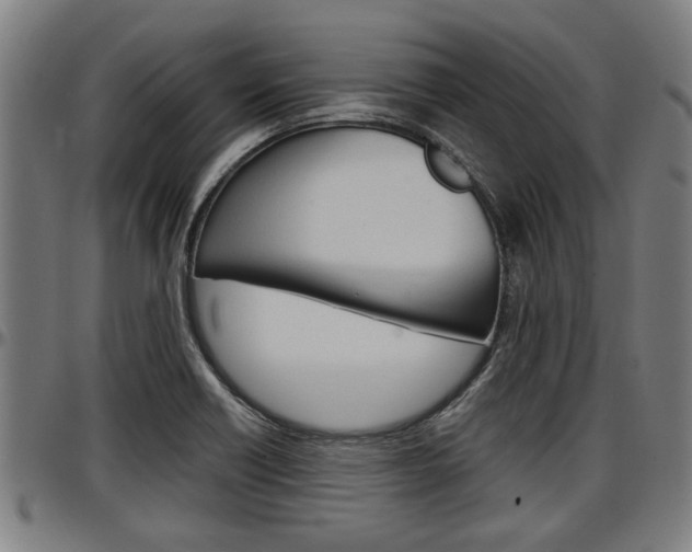 X0000097501418200802220831