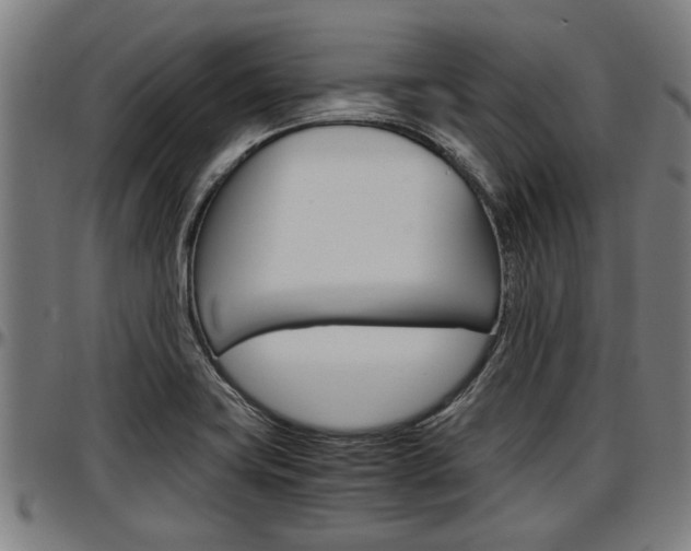 X0000097501419200802220831