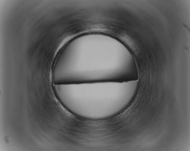 X0000097501420200802220831