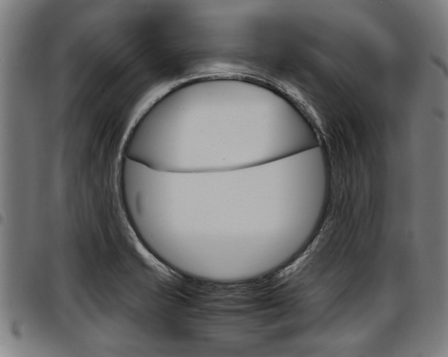 X0000097501421200802220831