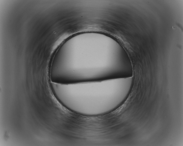 X0000097501422200802220831