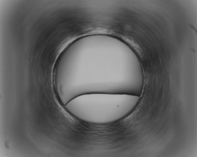 X0000097501423200802220831