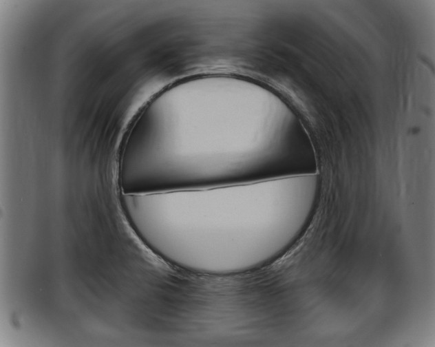 X0000097501424200802220831