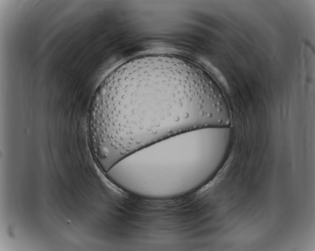 X0000097501425200802220831