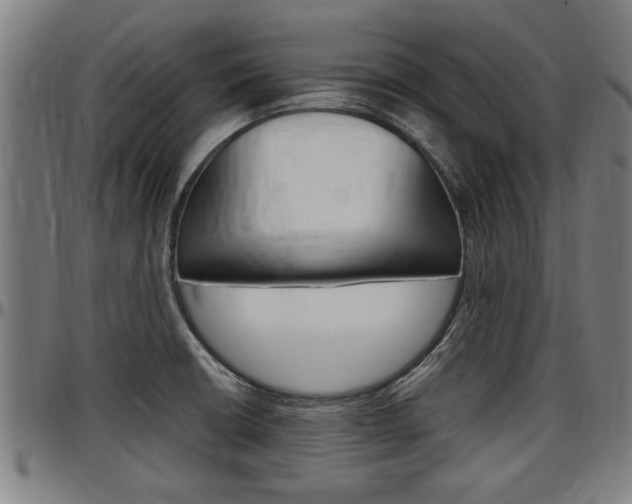 X0000097501426200802220831