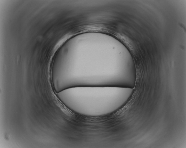 X0000097501427200802220831