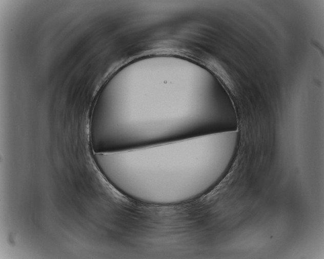 X0000097501428200802220831