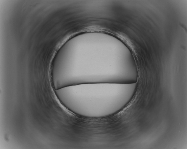X0000097501429200802220831
