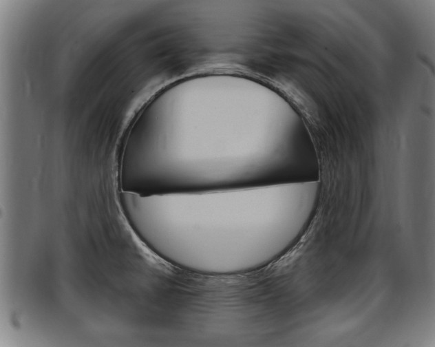 X0000097501430200802220831