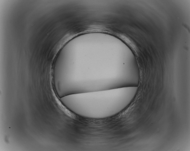 X0000097501431200802220831