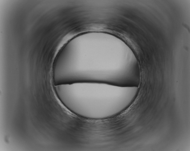 X0000097501432200802220831