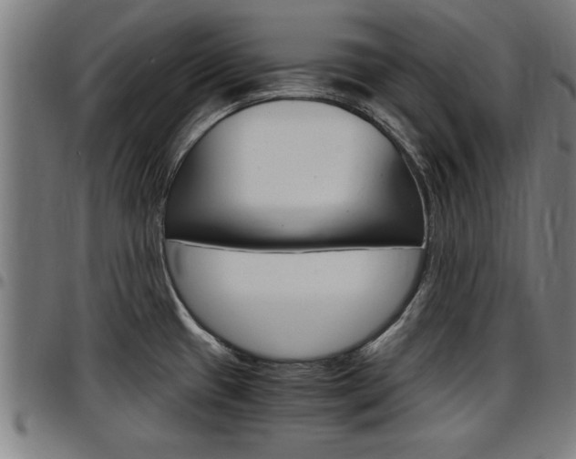 X0000097501433200802220831