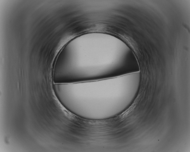 X0000097501434200802220831