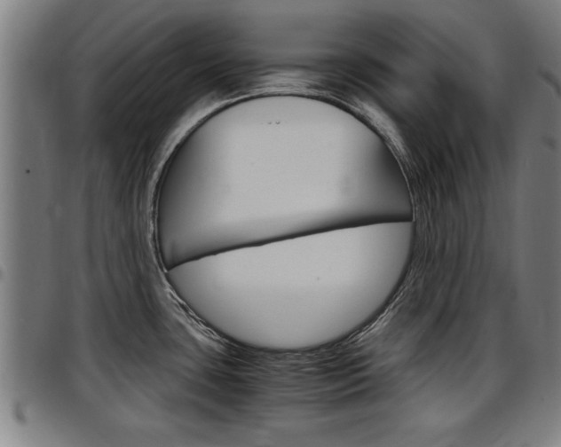 X0000097501435200802220831