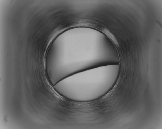X0000097501436200802220831