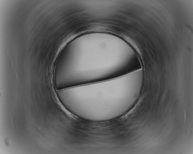 X0000097501437200802220831