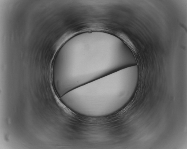 X0000097501439200802220831