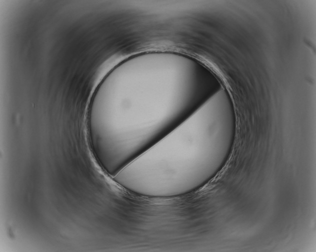 X0000097501440200802220831