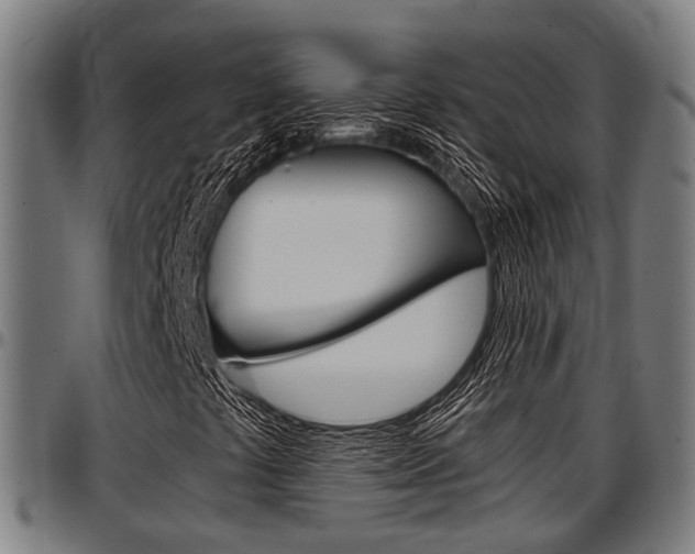X0000097501441200802220830