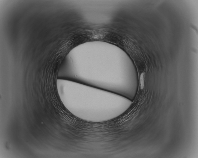 X0000097501443200802220830