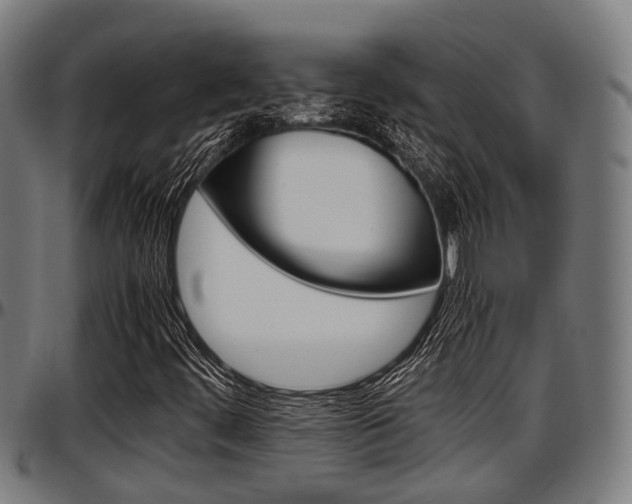 X0000097501444200802220830
