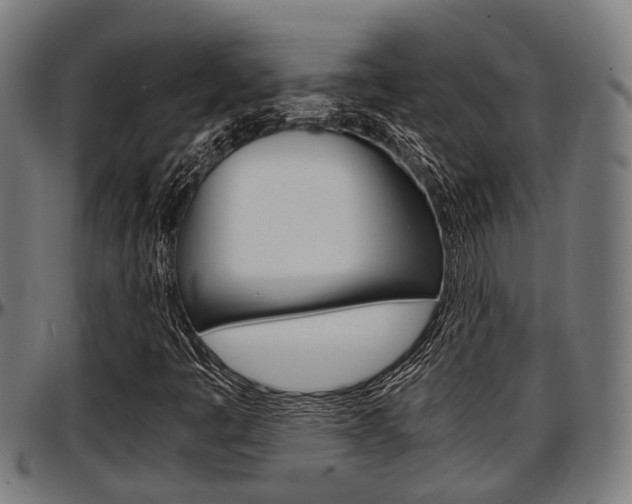 X0000097501445200802220830