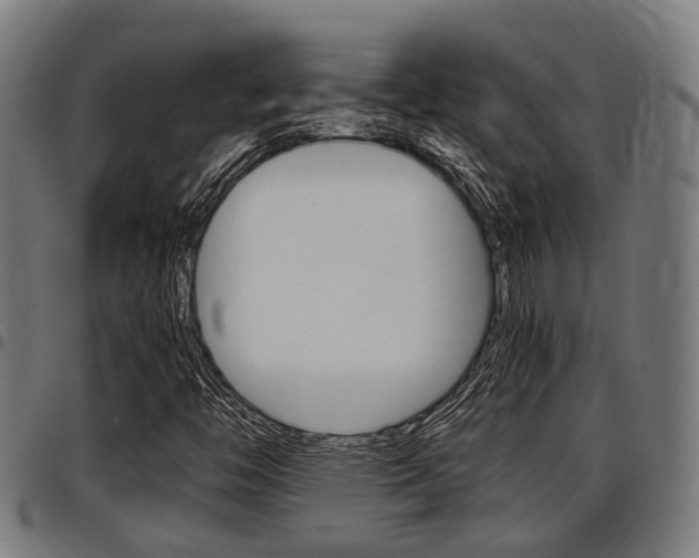 X0000097501446200802220830