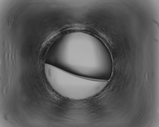 X0000097501448200802220830