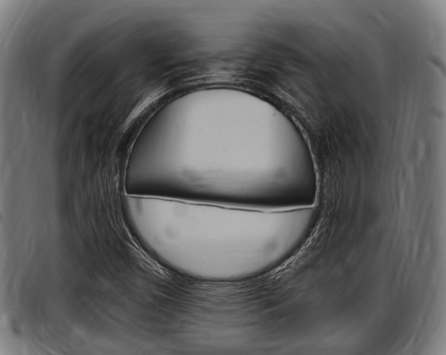 X0000097501450200802220830