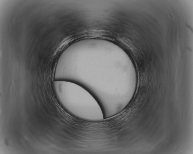 X0000097501451200802220830