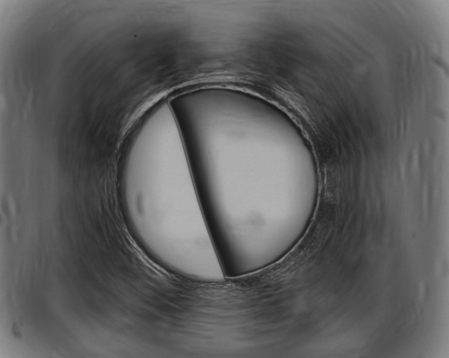 X0000097501452200802220830