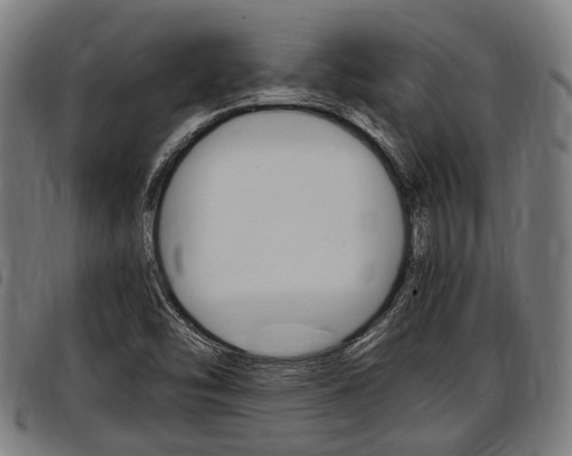 X0000097501454200802220830