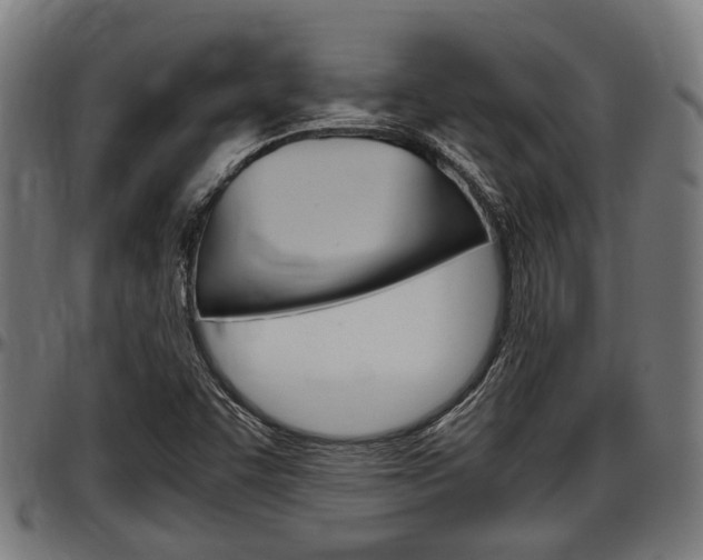 X0000097501455200802220830