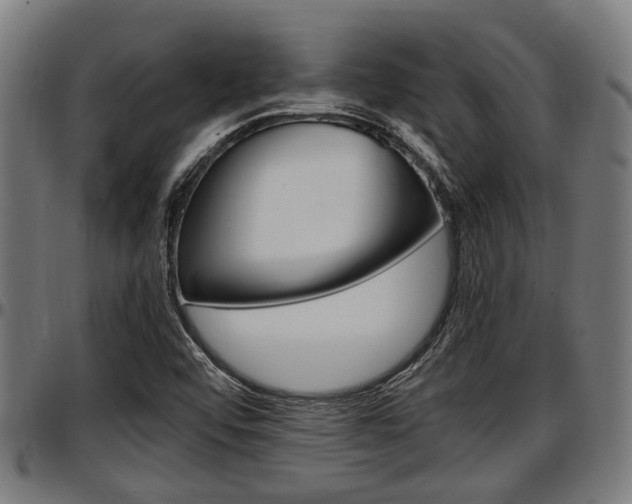 X0000097501456200802220830
