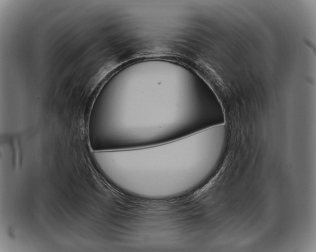 X0000097501457200802220830