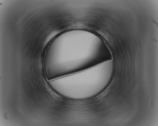 X0000097501458200802220830