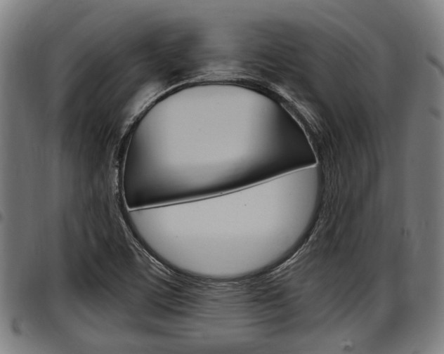 X0000097501459200802220830