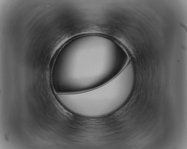 X0000097501460200802220830