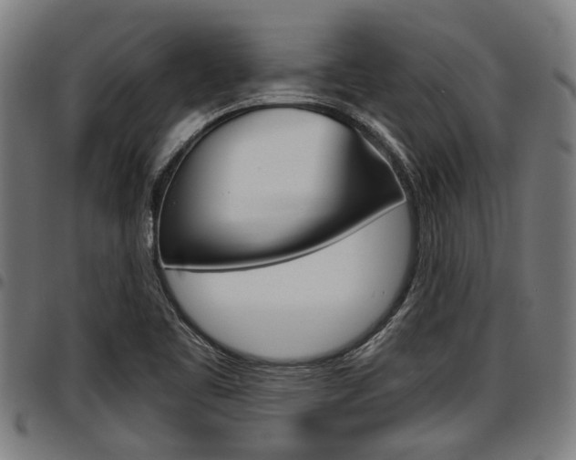 X0000097501461200802220830